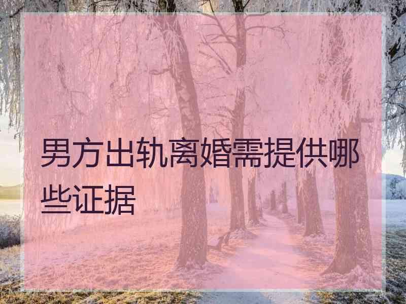 男方出轨离婚需提供哪些证据