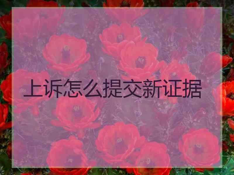 上诉怎么提交新证据