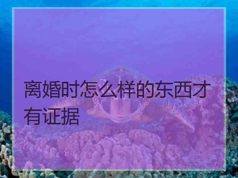 离婚时怎么样的东西才有证据