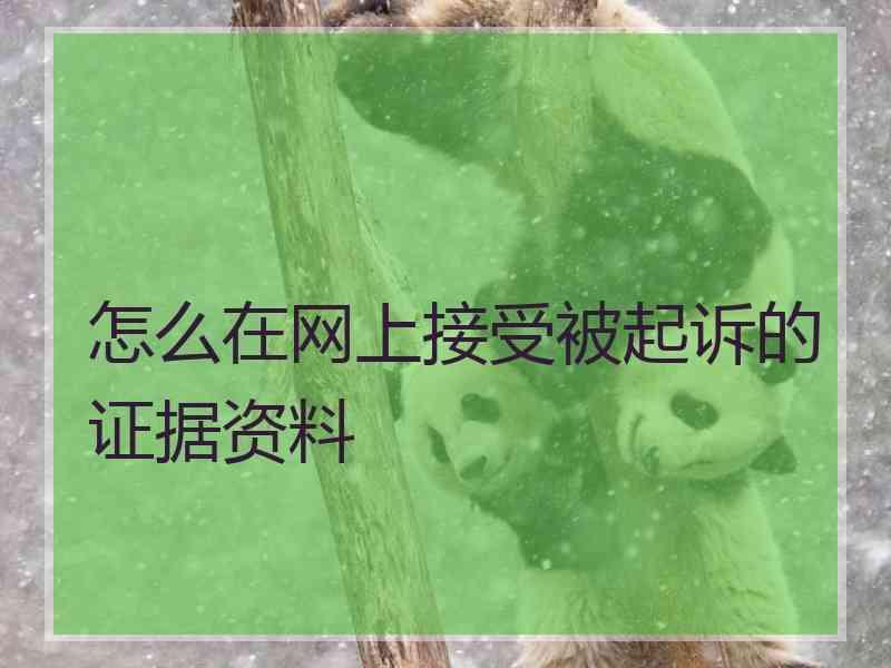 怎么在网上接受被起诉的证据资料