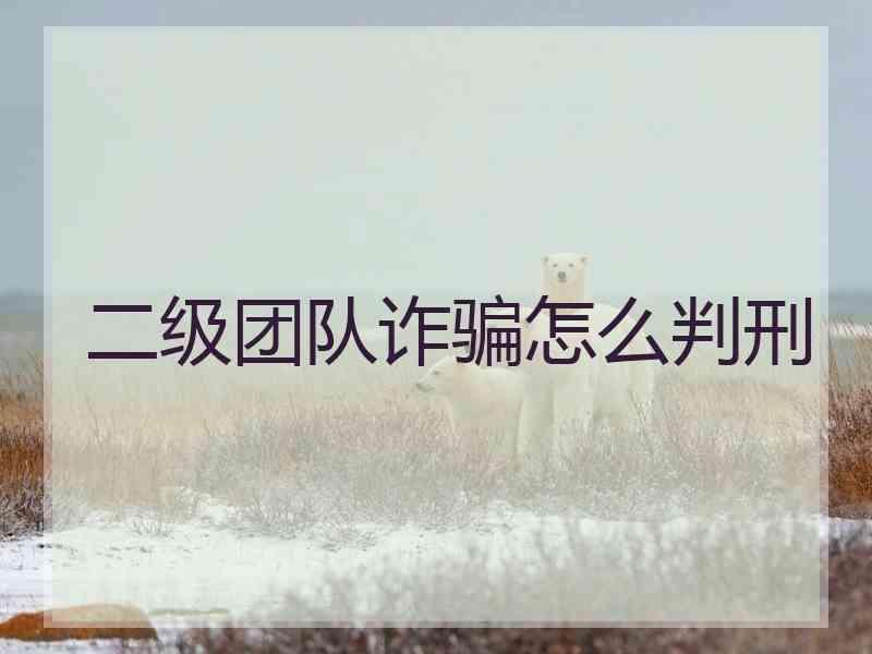二级团队诈骗怎么判刑