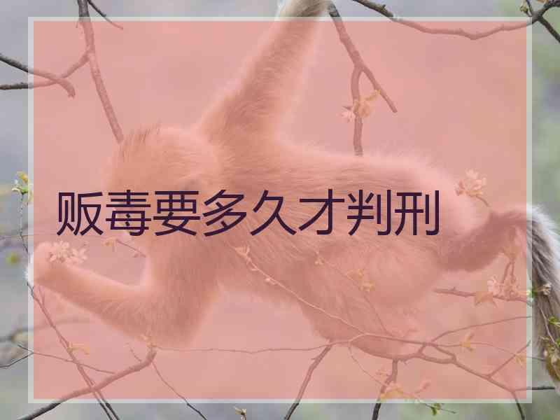 贩毒要多久才判刑