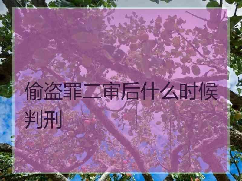 偷盗罪二审后什么时候判刑