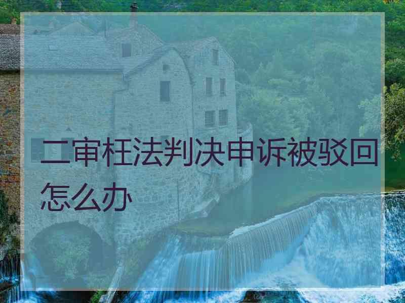 二审枉法判决申诉被驳回怎么办