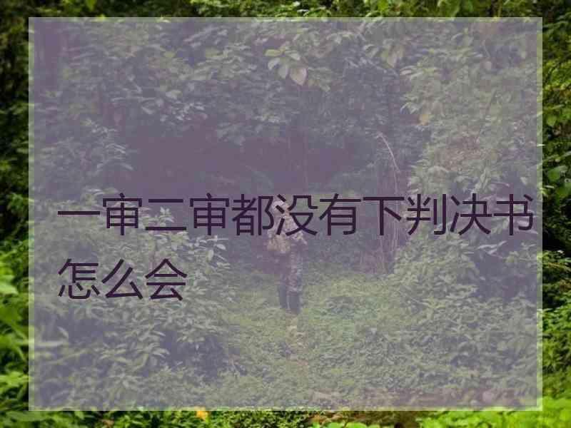 一审二审都没有下判决书怎么会