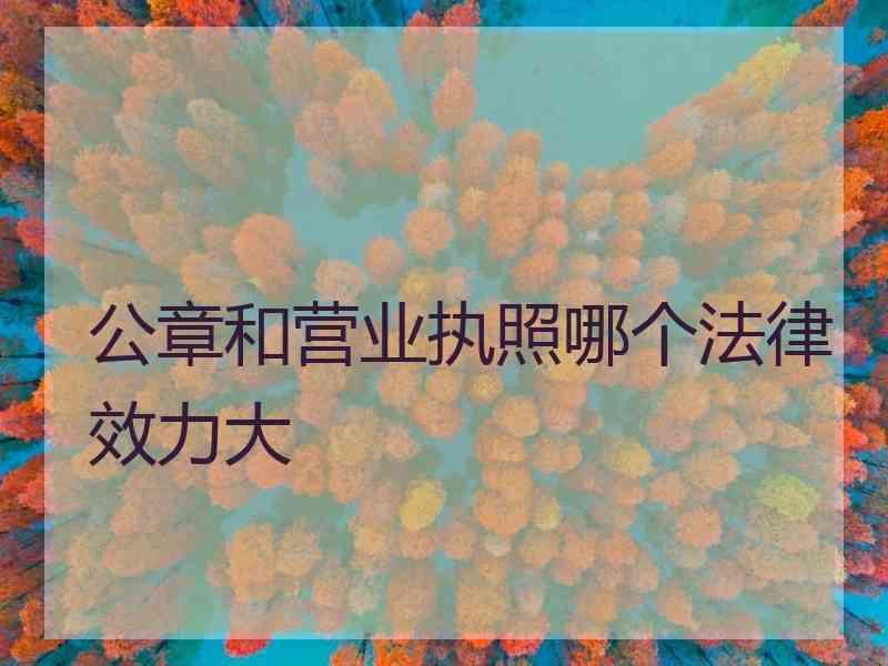 公章和营业执照哪个法律效力大