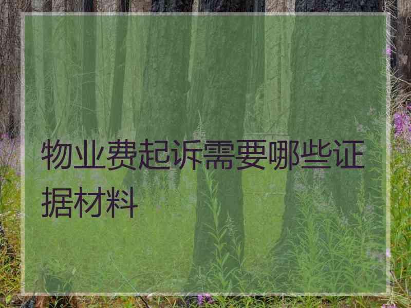 物业费起诉需要哪些证据材料