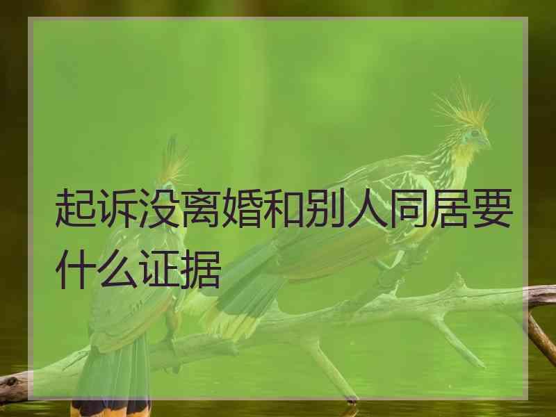 起诉没离婚和别人同居要什么证据