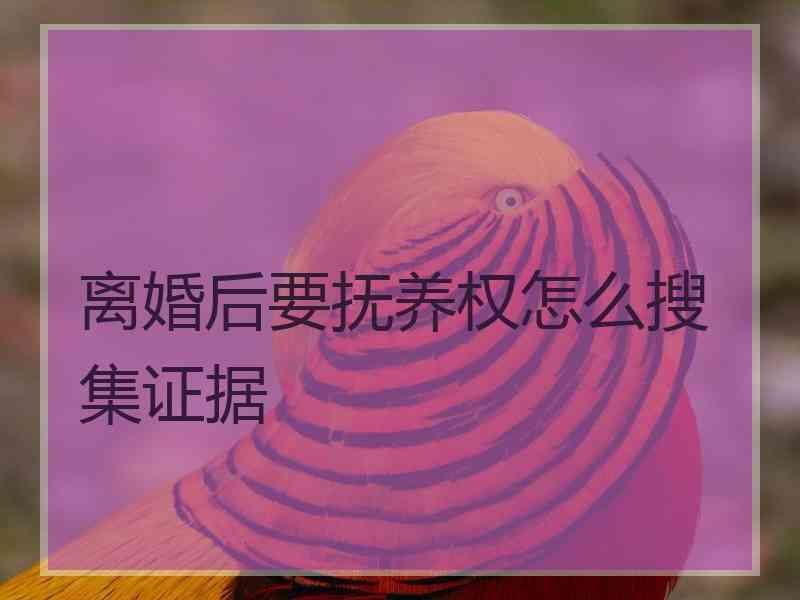 离婚后要抚养权怎么搜集证据