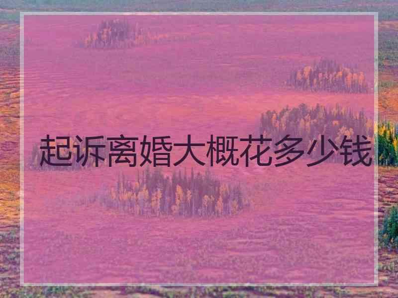 起诉离婚大概花多少钱