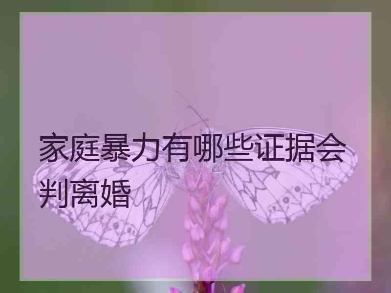 家庭暴力有哪些证据会判离婚