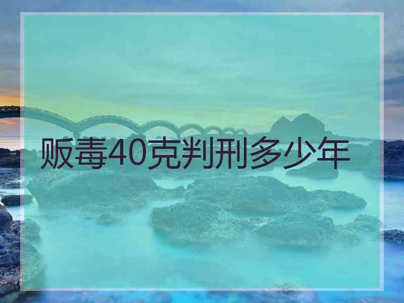 贩毒40克判刑多少年