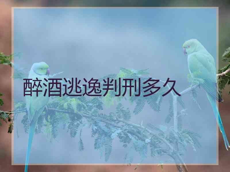 醉酒逃逸判刑多久