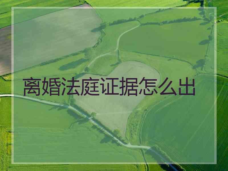 离婚法庭证据怎么出