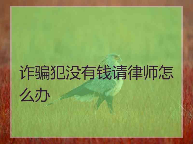 诈骗犯没有钱请律师怎么办