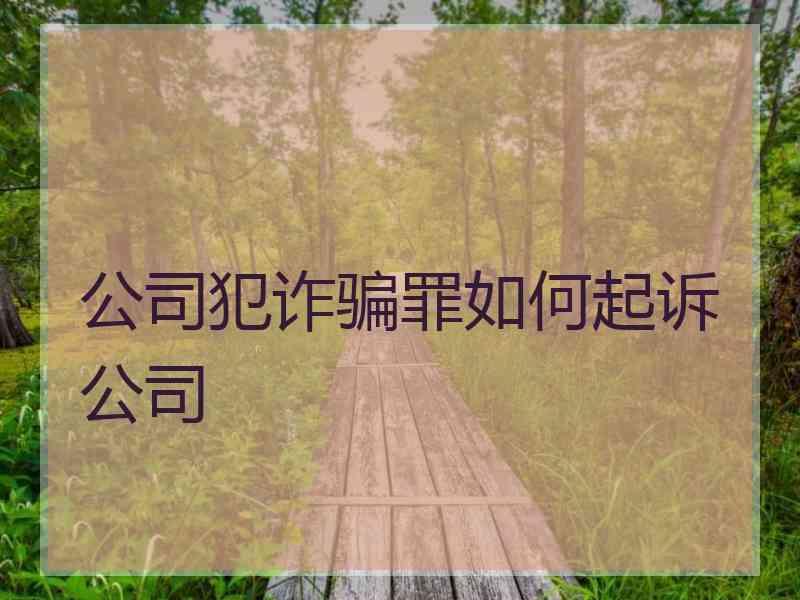 公司犯诈骗罪如何起诉公司