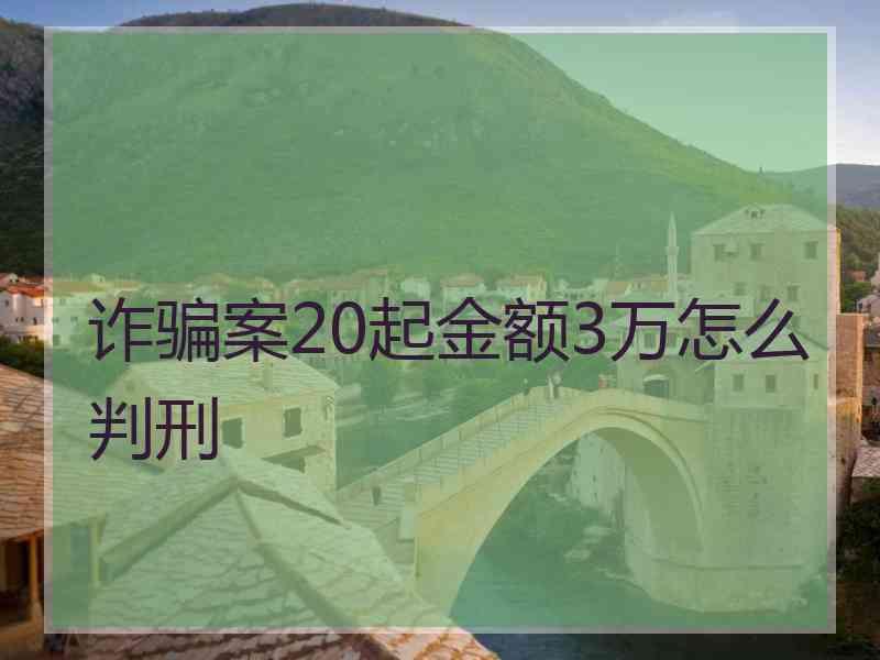 诈骗案20起金额3万怎么判刑