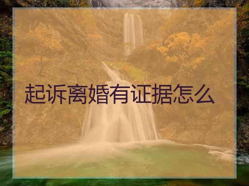 起诉离婚有证据怎么