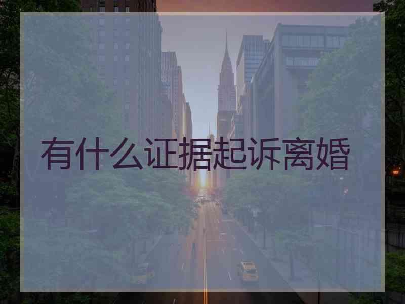 有什么证据起诉离婚