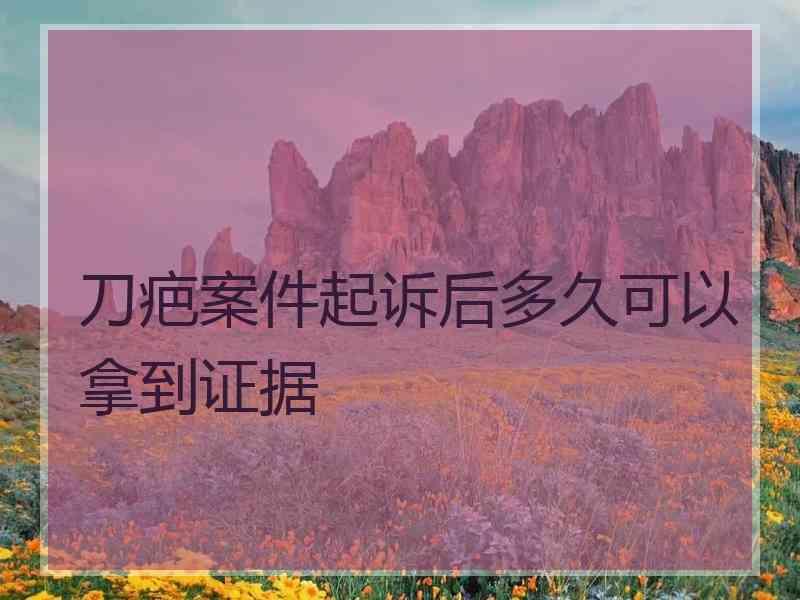 刀疤案件起诉后多久可以拿到证据