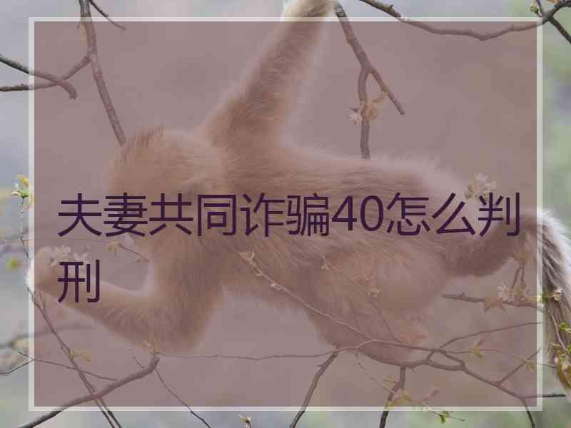 夫妻共同诈骗40怎么判刑