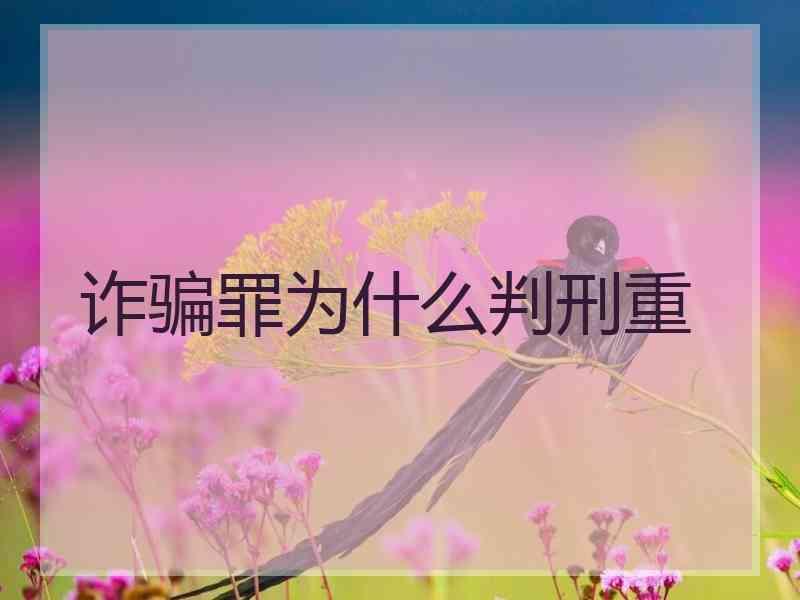 诈骗罪为什么判刑重