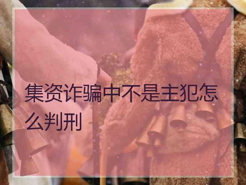 集资诈骗中不是主犯怎么判刑