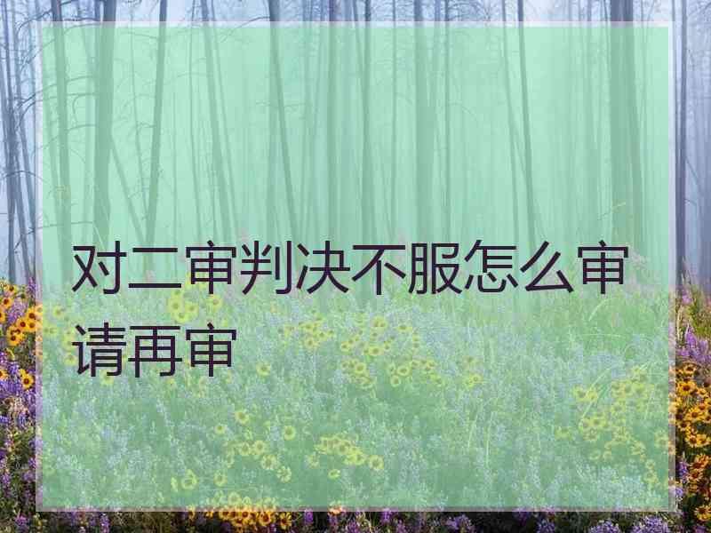 对二审判决不服怎么审请再审