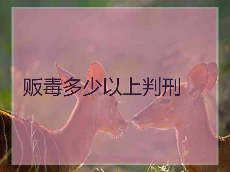 贩毒多少以上判刑