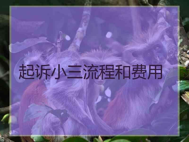 起诉小三流程和费用