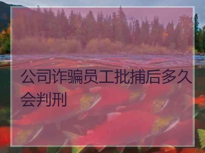 公司诈骗员工批捕后多久会判刑