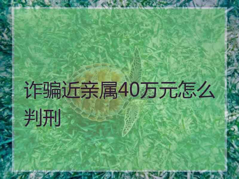诈骗近亲属40万元怎么判刑