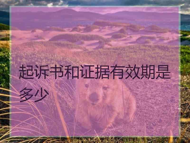 起诉书和证据有效期是多少