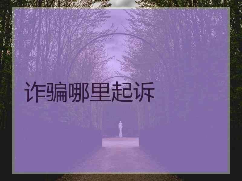 诈骗哪里起诉