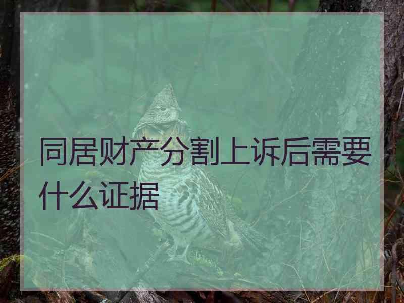 同居财产分割上诉后需要什么证据