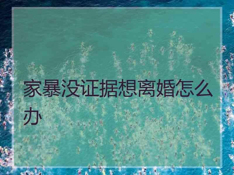 家暴没证据想离婚怎么办