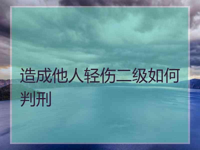 造成他人轻伤二级如何判刑