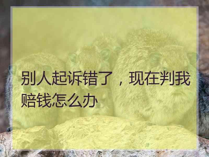 别人起诉错了判刑判错了会赔偿吗，现在判我赔钱怎么办