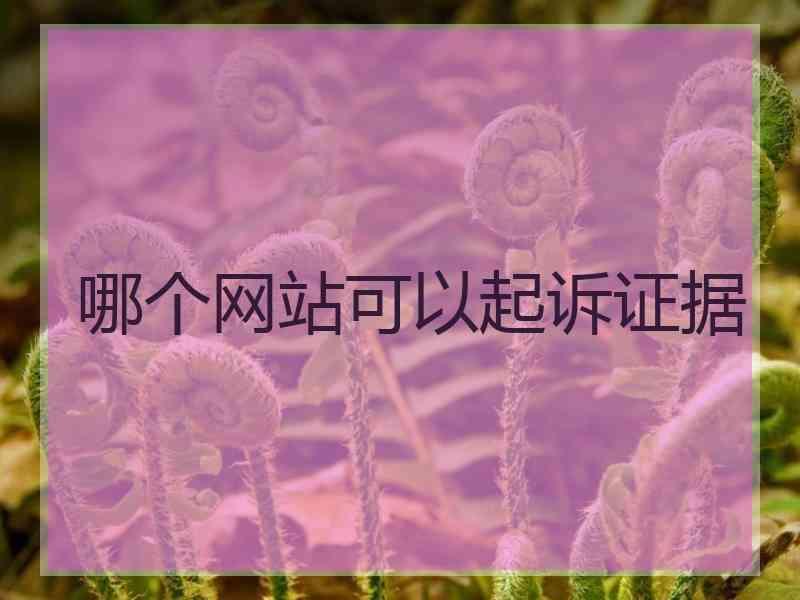 哪个网站可以起诉证据