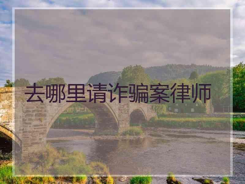 去哪里请诈骗案律师