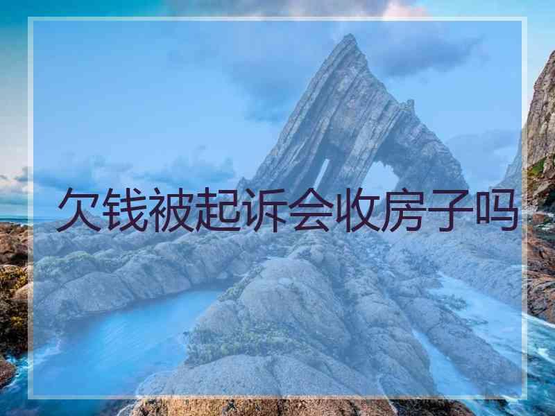 欠钱被起诉会收房子吗