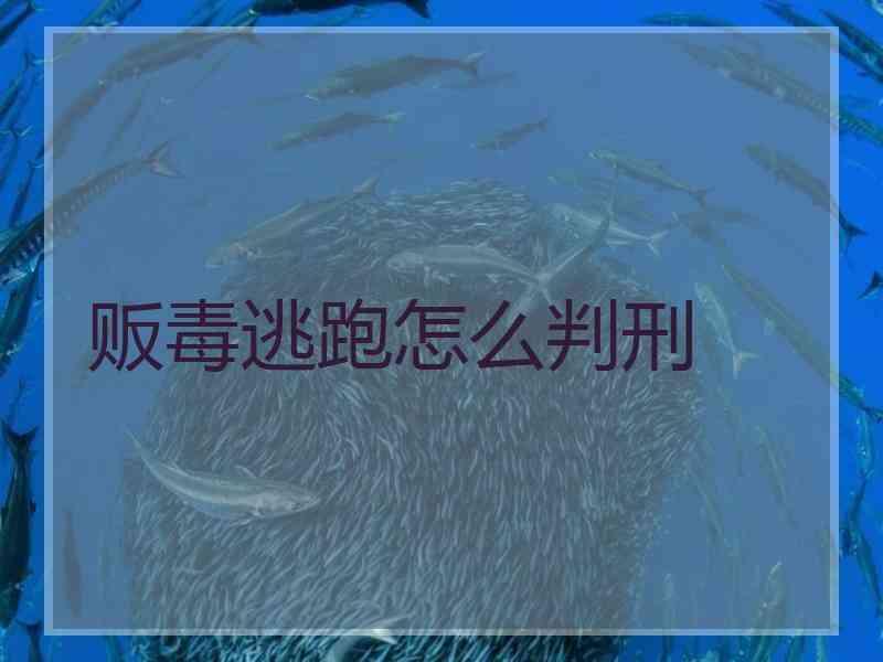 贩毒逃跑怎么判刑