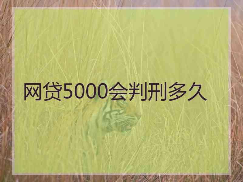 网贷5000会判刑多久