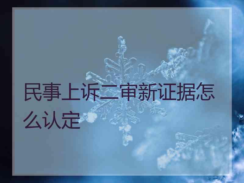 民事上诉二审新证据怎么认定