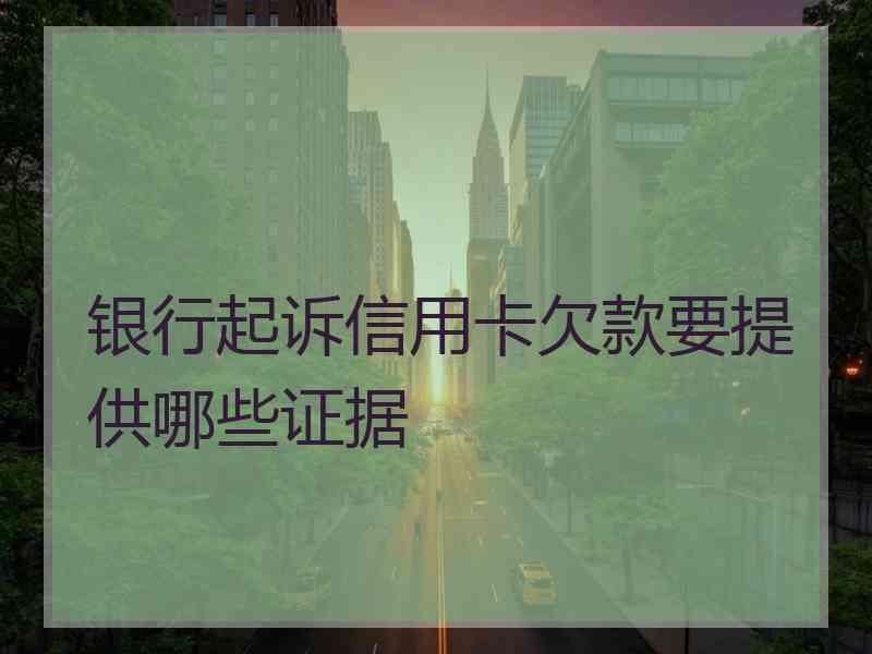 银行起诉信用卡欠款要提供哪些证据