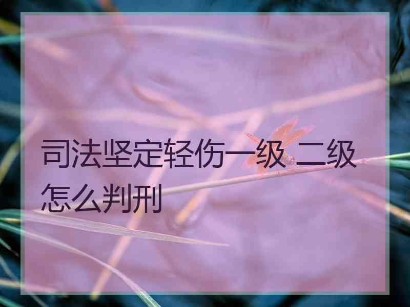 坚定轻伤一级 二级怎么判刑