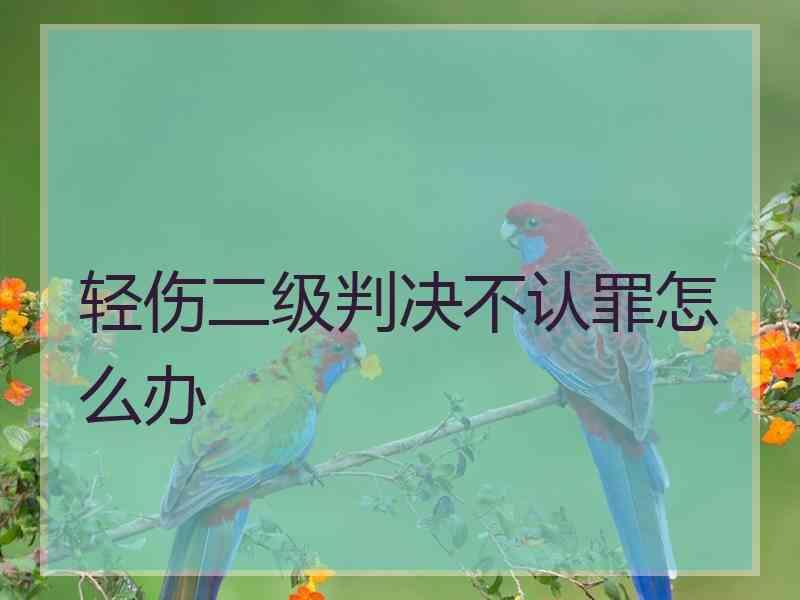 轻伤二级判决不认罪怎么办