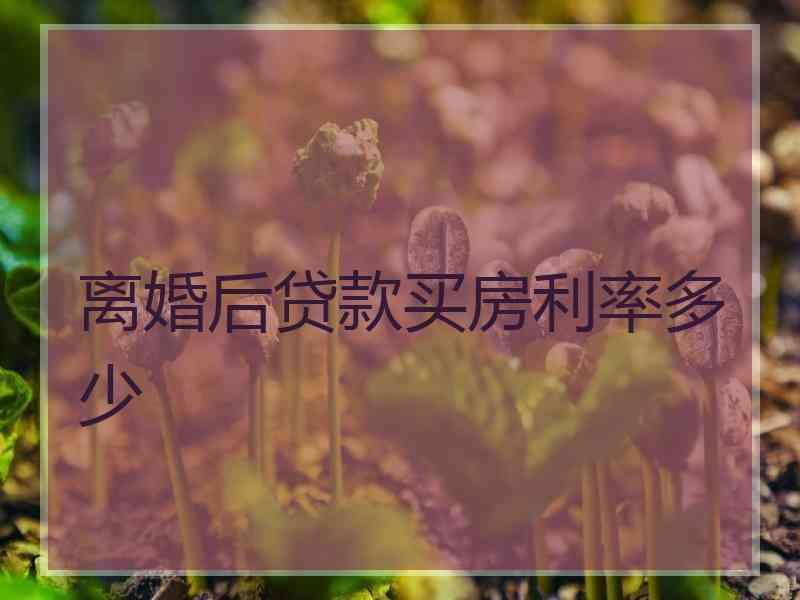 离婚后贷款买房利率多少