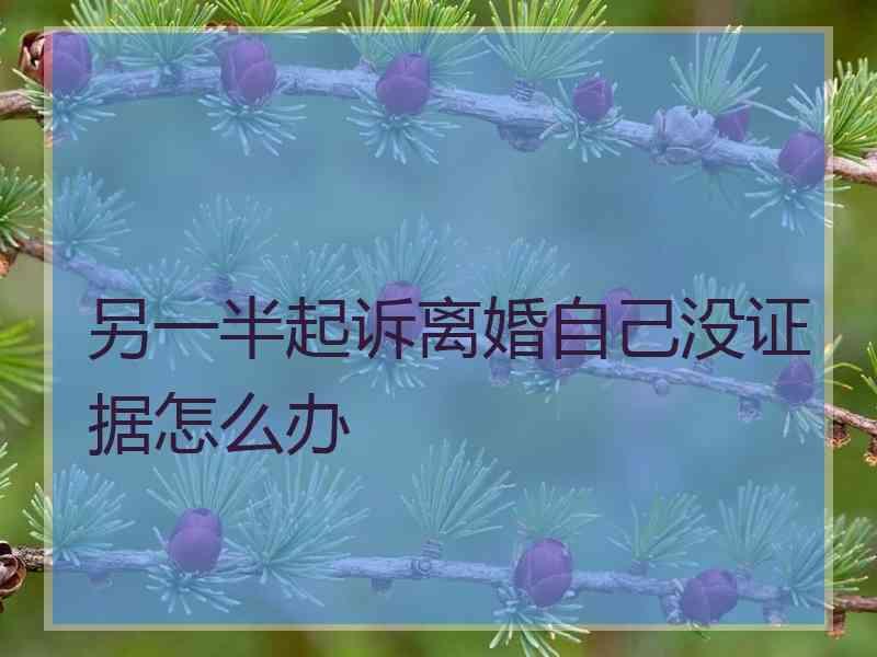 另一半起诉离婚自己没证据怎么办