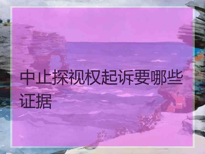 中止探视权起诉要哪些证据